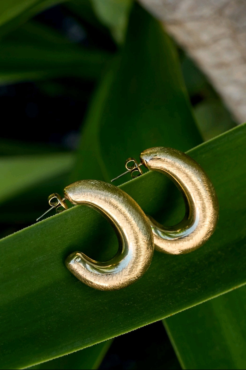 Golden Oval Earrings