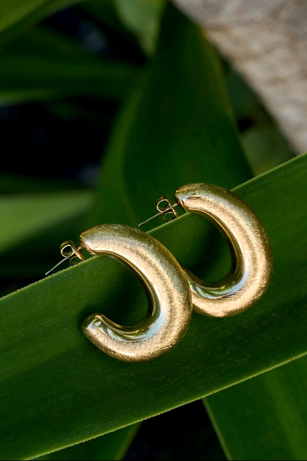 Golden Oval Earrings