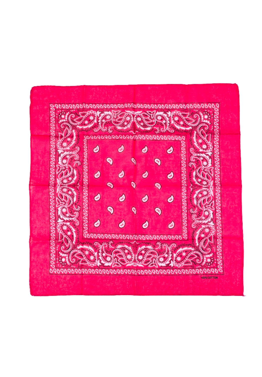 Sjaaltje Roze