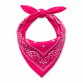 Sjaaltje Roze