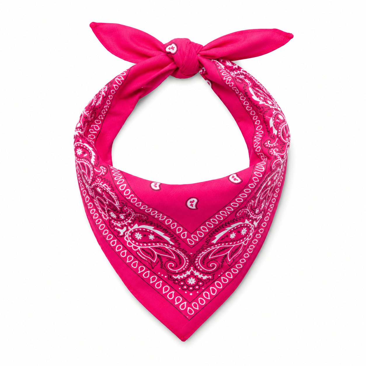 Sjaaltje Roze